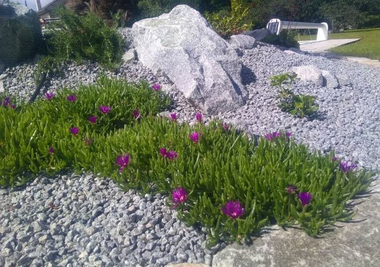 Création d'un jardin sec à Montbrison